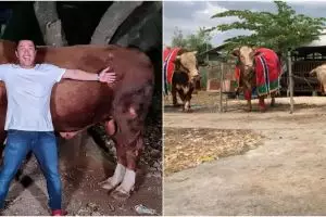 Rayakan Idul Adha, 5 seleb ini kurbankan hewan lebih dari satu