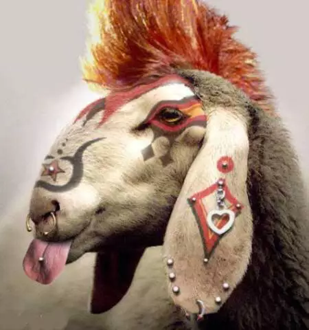 Editan punk banget Berbagai sumber