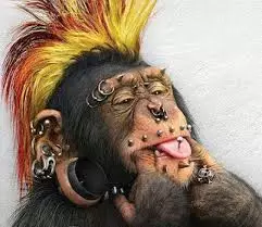 Editan punk banget Berbagai sumber