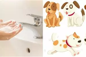 Macam-macam najis dan cara membersihkannya sesuai syariat Islam