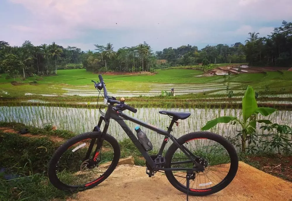 Sepeda gunung Exotic berbagai sumber