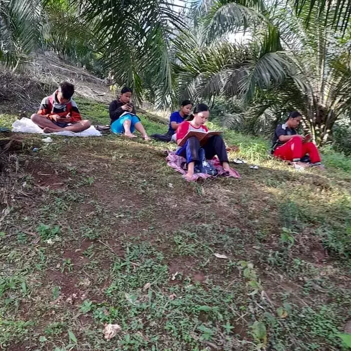 Pelajar naik pohon demi sinyal Facebook/ Renni Rosari Sinaga Pelajar naik pohon demi sinyal Facebook/ Renni Rosari Sinaga