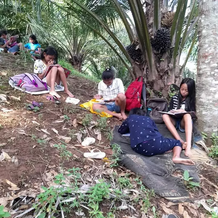 Pelajar naik pohon demi sinyal Facebook/ Renni Rosari Sinaga Pelajar naik pohon demi sinyal Facebook/ Renni Rosari Sinaga