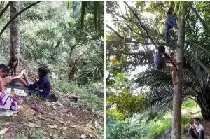 10 Potret perjuangan pelajar di Simalungun, naik pohon demi sinyal