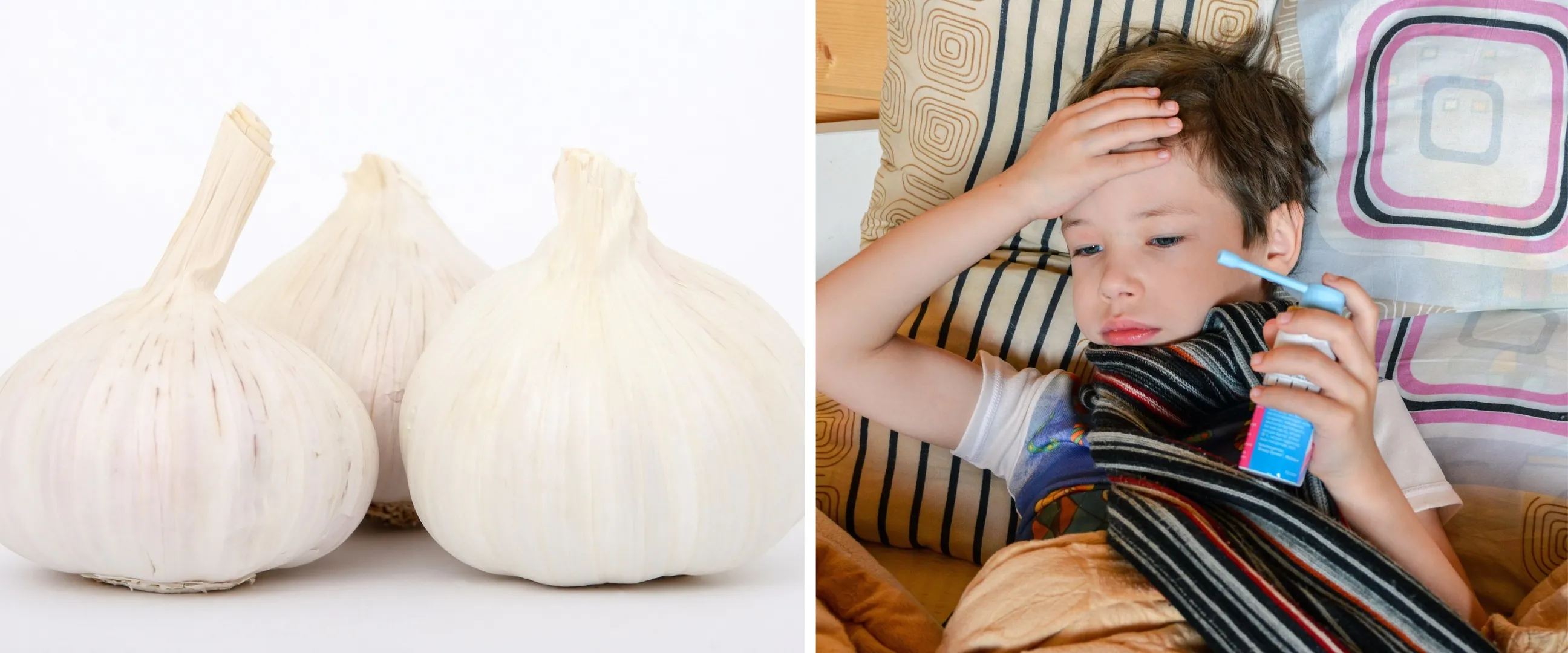 15 Manfaat bawang putih untuk kesehatan anak, jaga sistem pencernaan