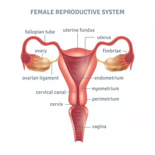 Habbatussauda untuk kesuburan © 2020 brilio.net Habbatussauda untuk kesuburan © 2020 brilio.net