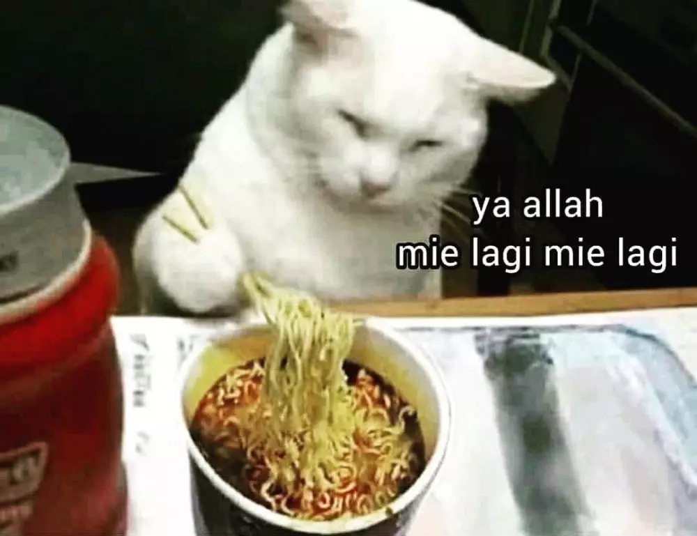 meme lucu nasib anak kos © 2020 instagram.com