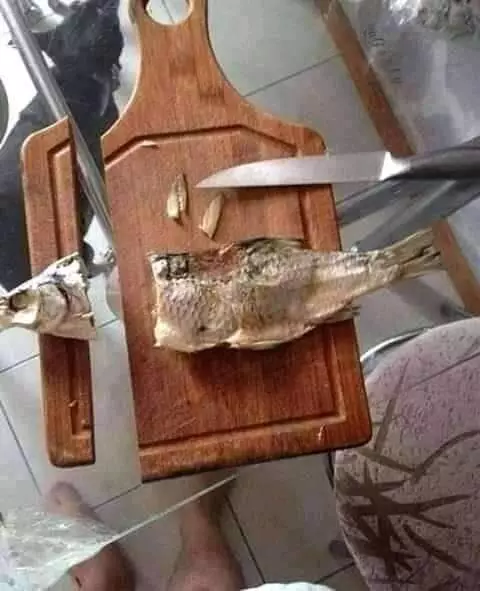 Momen apes asyik memasak twitter