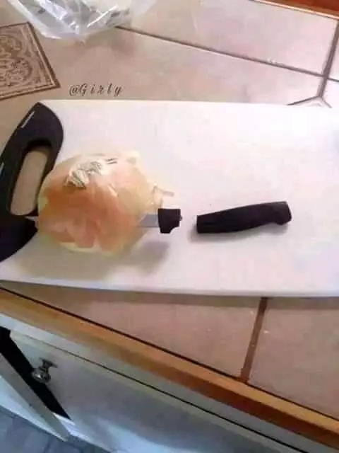 Momen apes asyik memasak twitter