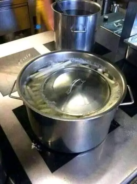 Momen apes asyik memasak twitter