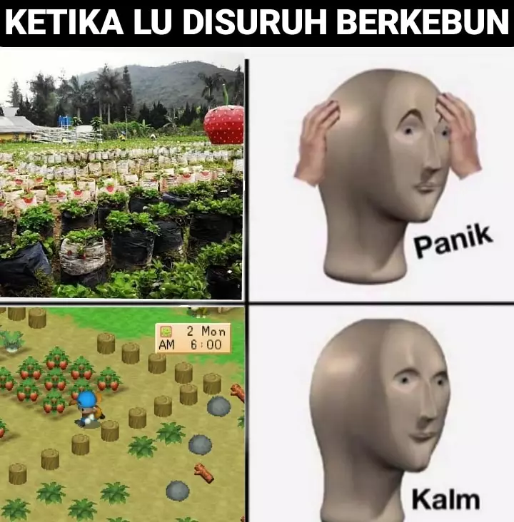 Meme beda PS dan kehidupan nyata Berbagai sumber