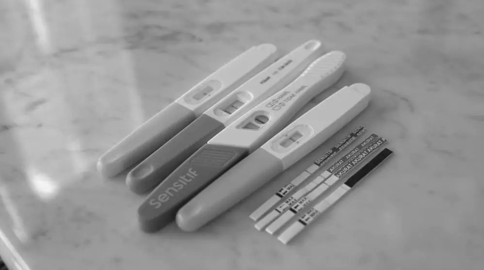 Momen Momo Geisha umumkan kehamilan kedua © 2020 berbagai sumber