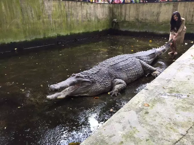 Pelihara hewan unik © 2020 brilio.net