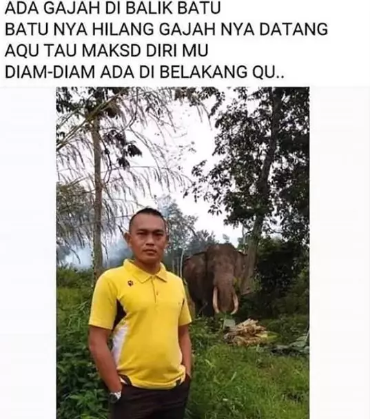 status lucu saat liburan berbagai sumber