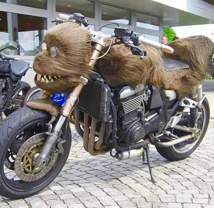 modifikasi motor tema binatang Instagram modifikasi motor tema binatang Instagram