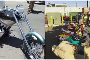 17 Modifikasi sepeda motor tema binatang, desainnya nyeleneh