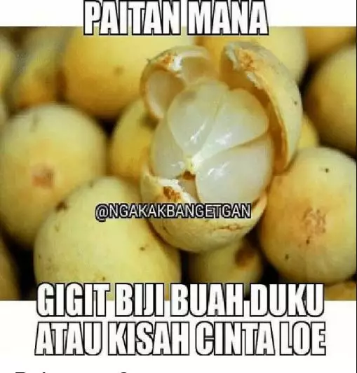 meme lucu ala buah berbagai sumber meme lucu ala buah berbagai sumber