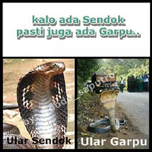 meme lucu ular berbagai sumber meme lucu ular berbagai sumber