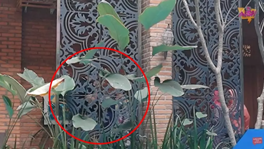 Ammar Zoni bertemu ibu angkat berbagai sumber Ammar Zoni bertemu ibu angkat berbagai sumber