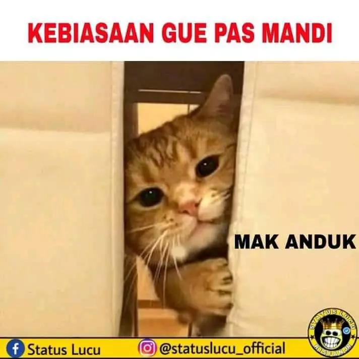 Meme hal dilakukan anak kecil Berbagai sumber