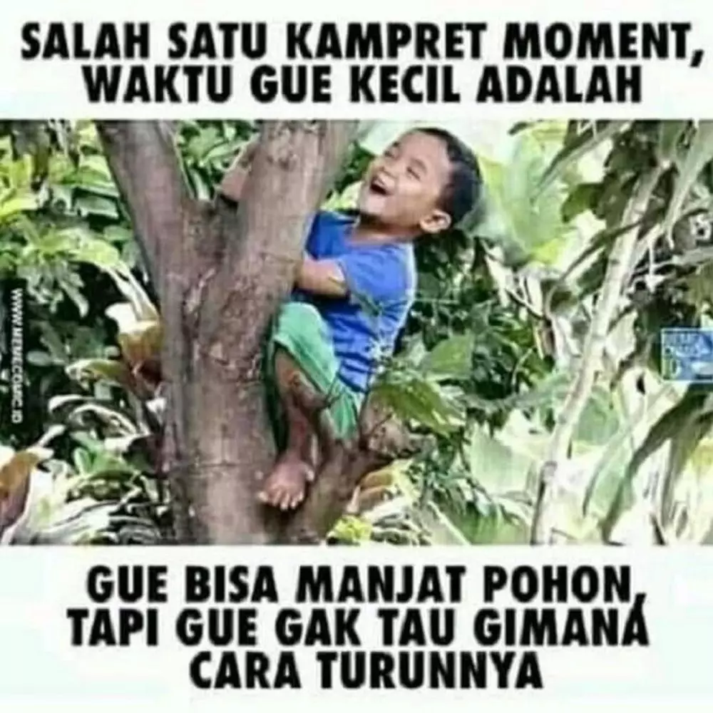 Meme hal dilakukan anak kecil Berbagai sumber