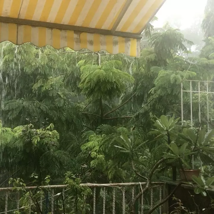 rumah Preity Zinta India instagram