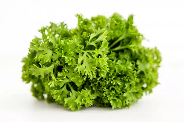 Makanan pembasmi bau mulut © 2020 brilio.net Makanan pembasmi bau mulut © 2020 brilio.net