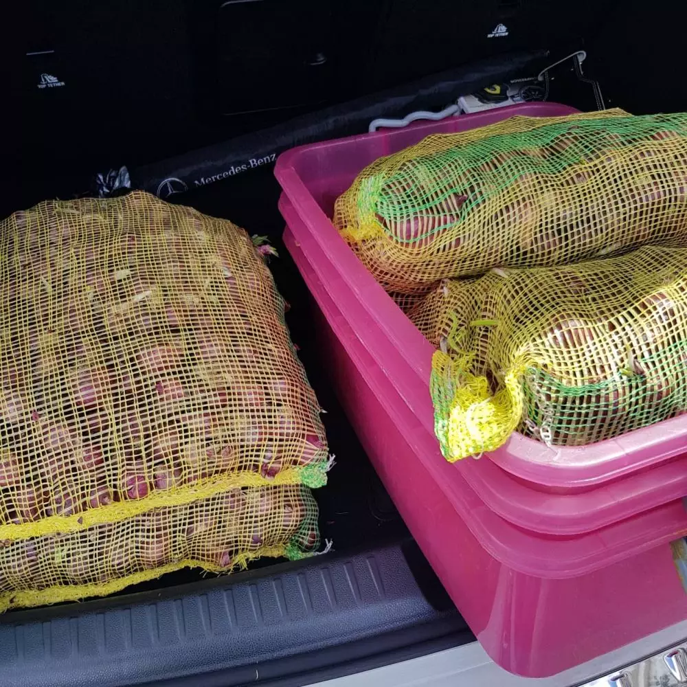 Kisah haru pejuang kanker jualan nasi lemak © 2020 brilio.net