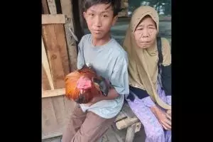 Ingin beli HP untuk sekolah online, anak ini jual ayam kesayangan