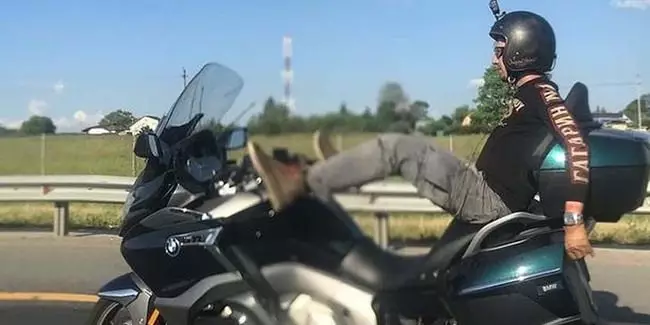 kendaraan nggak sesuai fungsi berbagai sumber