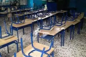 Viral potret sekolah yang lama tak terpakai, penuh jangkrik