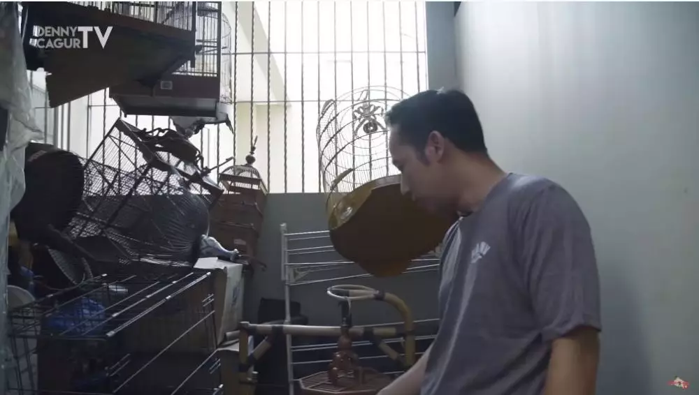 rumah kucing Denny Cagur berbagai sumber