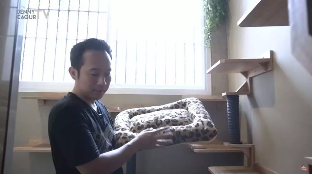 rumah kucing Denny Cagur berbagai sumber