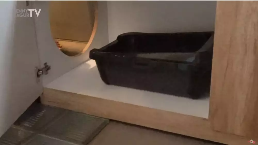 rumah kucing Denny Cagur berbagai sumber