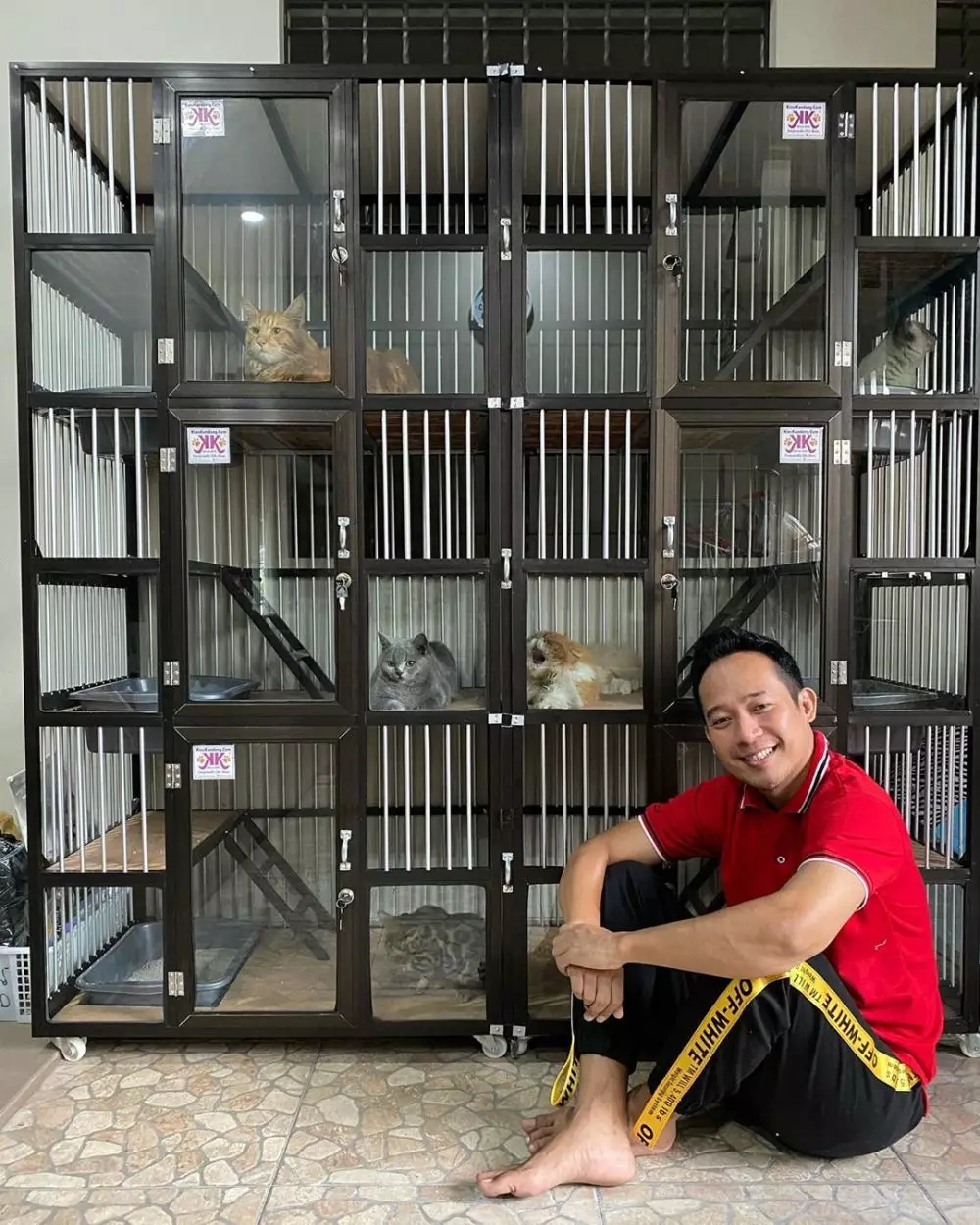rumah kucing Denny Cagur berbagai sumber