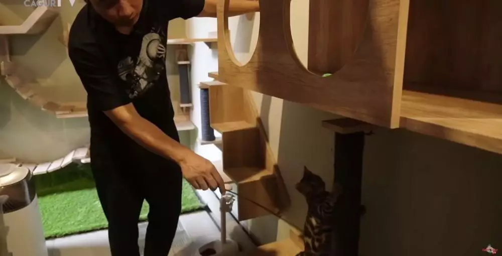 rumah kucing Denny Cagur berbagai sumber