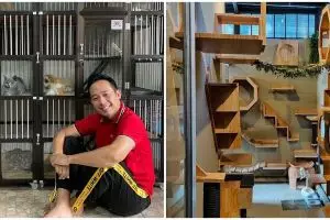 10 Potret rumah kucing milik Denny Cagur, fasilitasnya bikin takjub