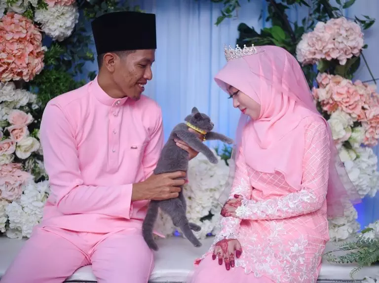seserahan lamaran diberi kucing Borakdaily seserahan lamaran diberi kucing Borakdaily