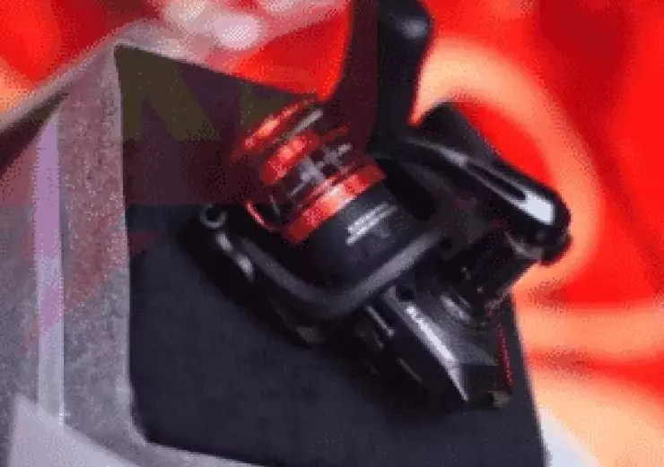 seserahan lamaran diberi kucing Borakdaily seserahan lamaran diberi kucing Borakdaily