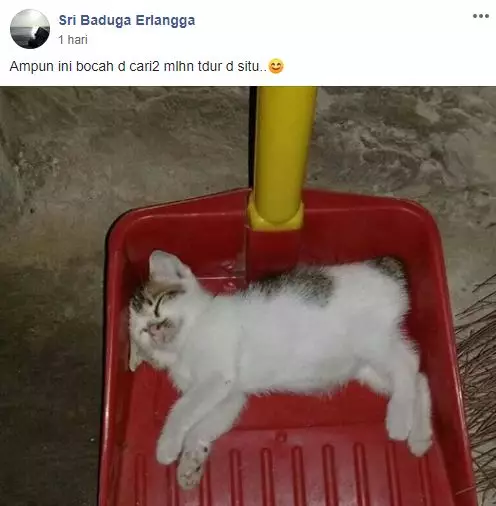 grup Perserikatan Kocheng Bar Bar Facebook grup Perserikatan Kocheng Bar Bar Facebook