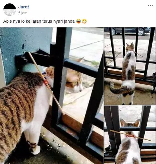 grup Perserikatan Kocheng Bar Bar Facebook grup Perserikatan Kocheng Bar Bar Facebook