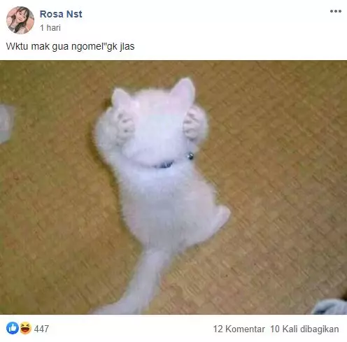 grup Perserikatan Kocheng Bar Bar Facebook grup Perserikatan Kocheng Bar Bar Facebook