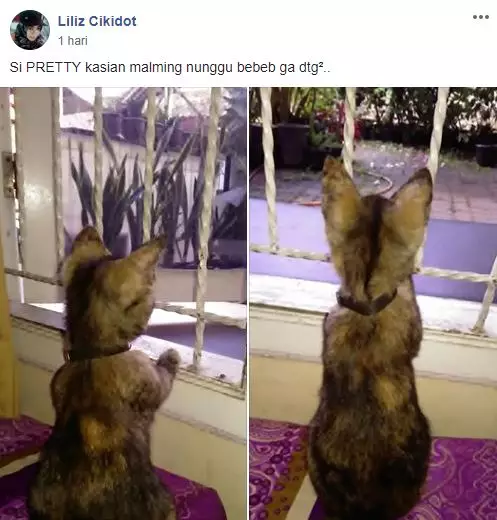 grup Perserikatan Kocheng Bar Bar Facebook grup Perserikatan Kocheng Bar Bar Facebook