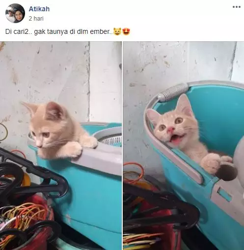 grup Perserikatan Kocheng Bar Bar Facebook grup Perserikatan Kocheng Bar Bar Facebook