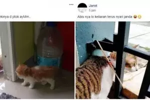10 Postingan di grup Perserikatan Kocheng Bar Bar ini kocak abis