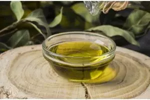 8 Manfaat minyak zaitun untuk wanita, sumber perawatan alami