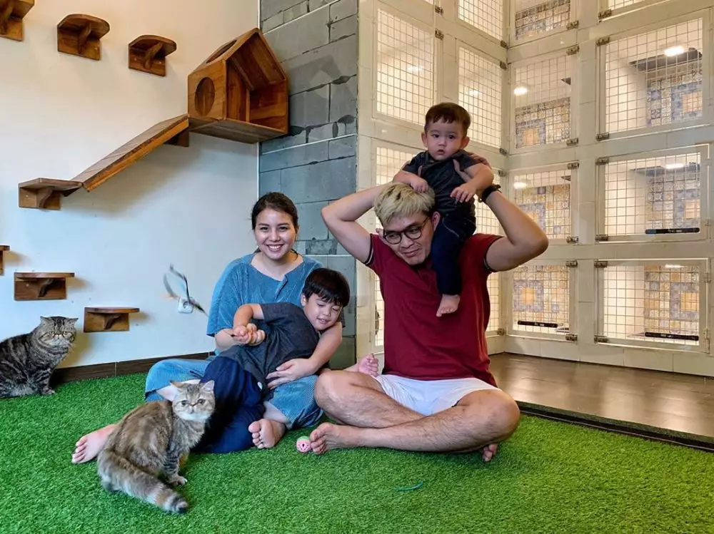 rumah kucing seleb berbagai sumber rumah kucing seleb berbagai sumber