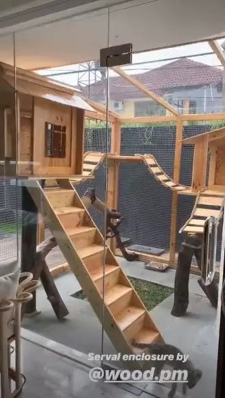 rumah kucing seleb berbagai sumber rumah kucing seleb berbagai sumber