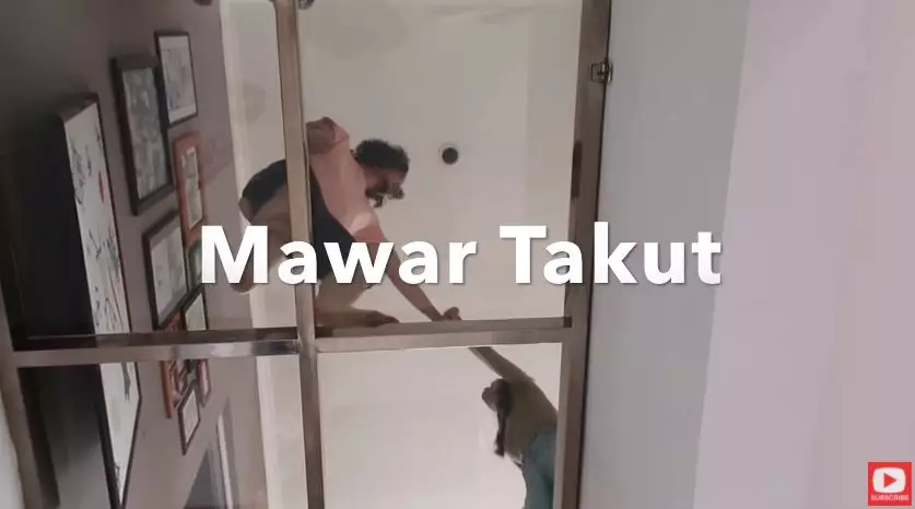 momen Mawar Eva main ke rumah Bryan Domani © 2020 YouTube/Domani House Channel momen Mawar Eva main ke rumah Bryan Domani © 2020 YouTube/Domani House Channel