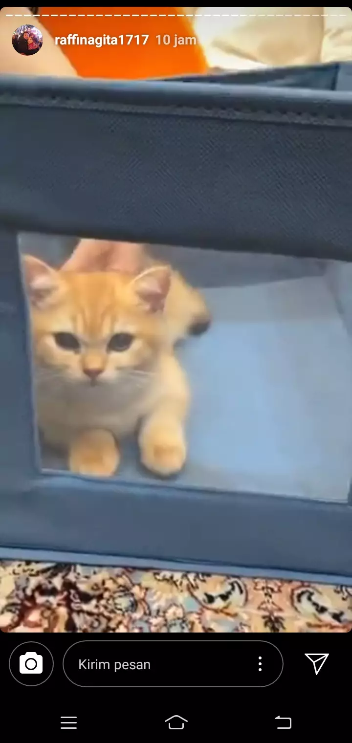 Rafathar ultah ke5 © 2020 brilio.net Instagram Rafathar ultah ke5 © 2020 brilio.net Instagram